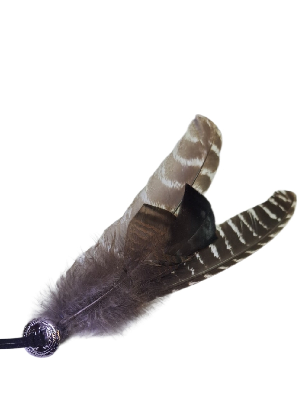 WILD TURKEY HAT Decor
